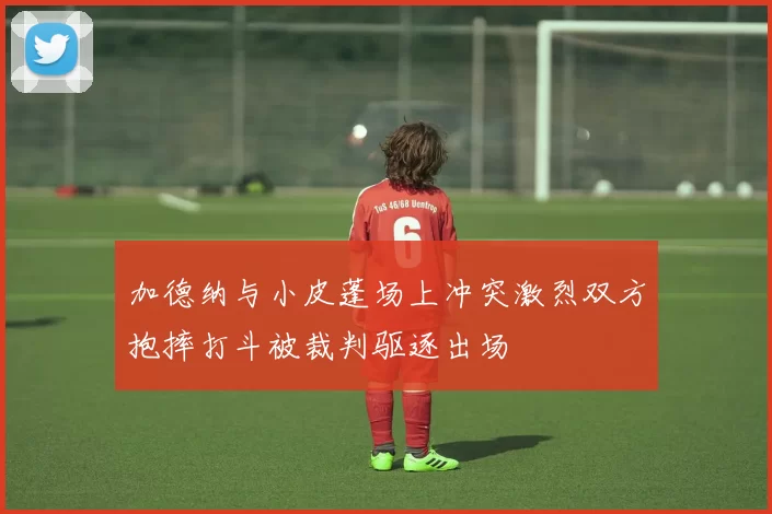 加德纳与小皮蓬场上冲突激烈双方抱摔打斗被裁判驱逐出场